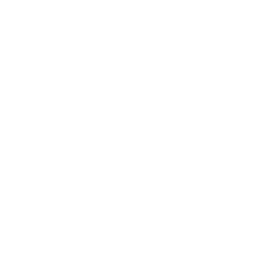 Free Fast Shipping